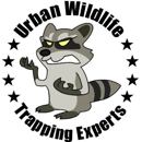 Urban Wildlife Trapping Experts - Pest Control Services