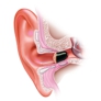 Holly's Hearing Aid Center - Cleveland, OH