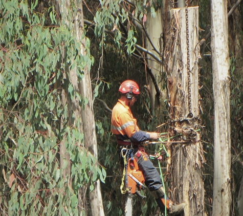 Jindabyne Landscaping Pty Ltd - East Jindabyne, NSW