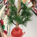 Big Lots - Discount Stores