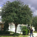 Lamb  Tree Care - Arborists