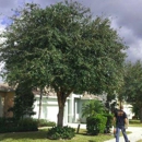 Lamb Tree Care - Arborists