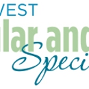 Northwest Vascular & Vein Specialists - Physicians & Surgeons, Vascular Surgery