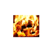 Gallery Image Number 7