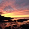 Plum Cove School gallery