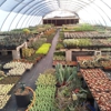 Desert to Tropics Nursery gallery