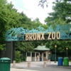 The Bronx Zoo gallery