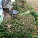 Donnie Williard Lawn Care & Landscaping - Sod & Sodding Service
