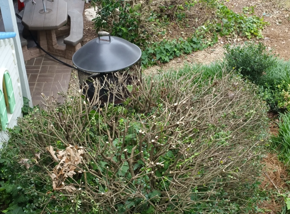 Donnie Williard Lawn Care & Landscaping - Winston Salem, NC. Completely cut down the bushes that serve as privacy to back porch - if he was going to do this they should have been removed