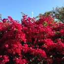 St Boniface Episcopal Church - Historical Places