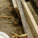 Ar-Dean Termite & Pest Control - Pest Control Equipment & Supplies