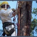 Tammany Tree Service - Christmas Trees