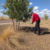 Patriot Pest & Termite Control gallery