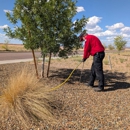 Patriot Pest & Termite Control - Arborists