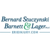 Bernard Stuczynski Barnett & Lager gallery