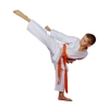 Agoura Hills World Champion Karate gallery