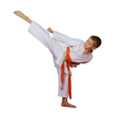 Agoura Hills World Champion Karate - Martial Arts Instruction