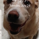 Sunrise Veterinary Clinic - Pet Services