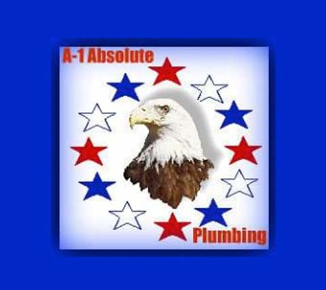A1 Absolute Plumbing - Lockport, IL