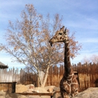 Albuquerque Biological Park