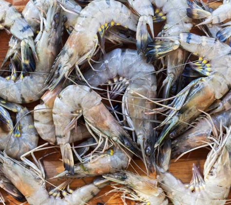 Seaford Bait Pty Ltd - Dandenong, VIC