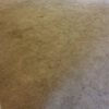 ProAction Carpet Care LLC gallery