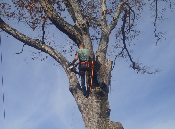 S&L Tree Service - Knoxville, TN