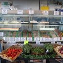 Fresh Fish Co - Fish & Seafood Markets