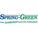 Spring-Green Lawn Care - Tree Service