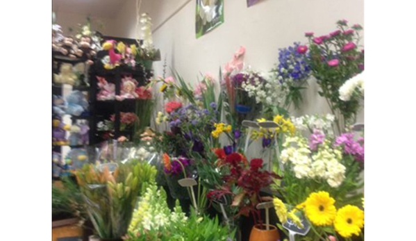 Boronia Exclusive Florists - Ballarat Central, VIC