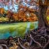 Koehler Real Estate gallery