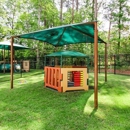 Primrose School of Apex - Schools