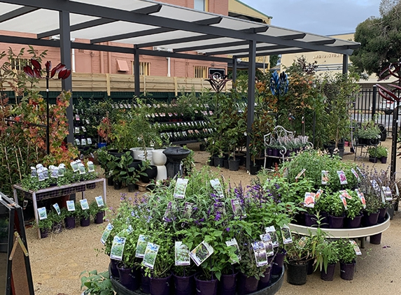 Green Leaf Gardens Nursery - Temora, NSW