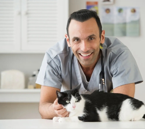 Wetherill Park Vet Clinic - Wetherill Park, NSW