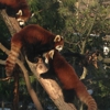 Brooklyn Zoo & Aquarium Pet Store gallery