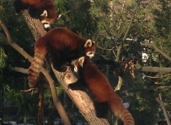 Brooklyn Zoo & Aquarium - Brooklyn, NY