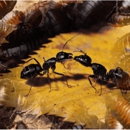 Central Oregon Pest Control Inc. - Pest Control Equipment & Supplies