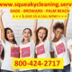 Squeaky Cleaning Services