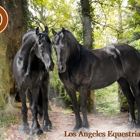 Los Angeles Equestrian Center