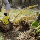Atlas Tree Service - Tree Service