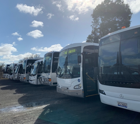 Mount Gambier Bus line - Mount Gambier, SA