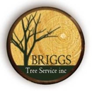 Briggs Tree Service Inc. - Tree Service
