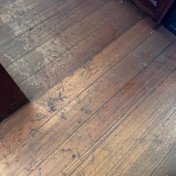Gallery Image Number 6