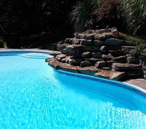 Professional Pool Services Inc - Sewickley, PA