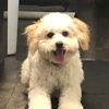 Edgewood Veterinary Hospital gallery