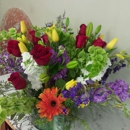 Belvedere Florist - Wholesale Florists