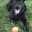 Olathe Pet Shop - Pet Stores