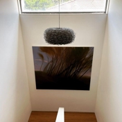 Gallery Image Number 1