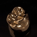 Golden State Dental Arts - Dental Labs