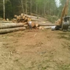 Doug Anderson logging and clearing gallery